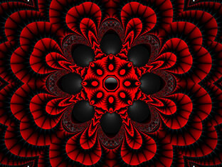 1358113342-1031729-www.nevsepic.com.ua (1) (1)