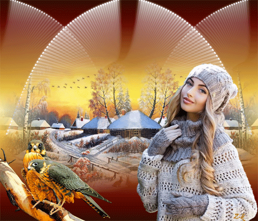 17-zk-sowy--zima--w-brazach