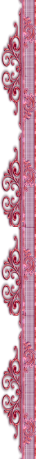 2_4_2