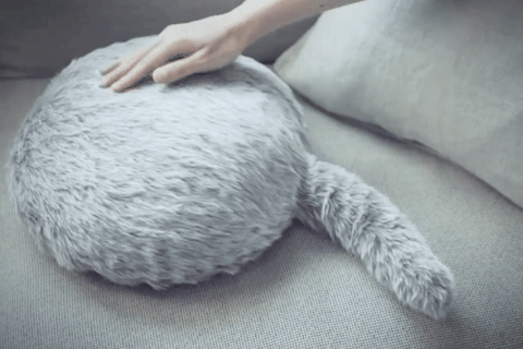 ezgif-1-e81102ea9eeb-1550037775