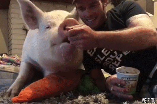 Что выросло, то выросло