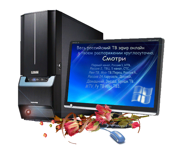 Телевидение