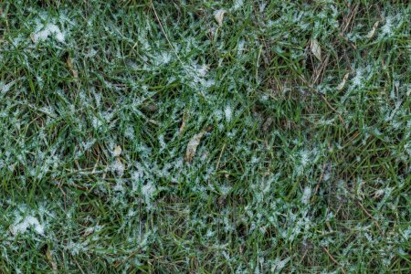 depositphotos_208496498-stock-photo-grass-snow-seamless-texture-background