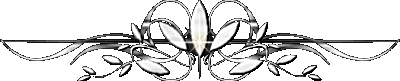 15830400_getimageCA2AMUL0