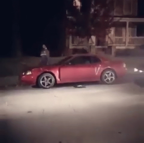 buildgifcom-1328612-1551114891