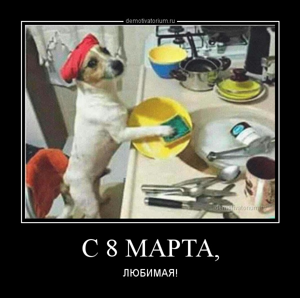 dm_temp_image_30403190844553444735