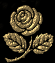 _5_arnusha