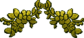 _5_arnusha