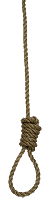 bdsm seil