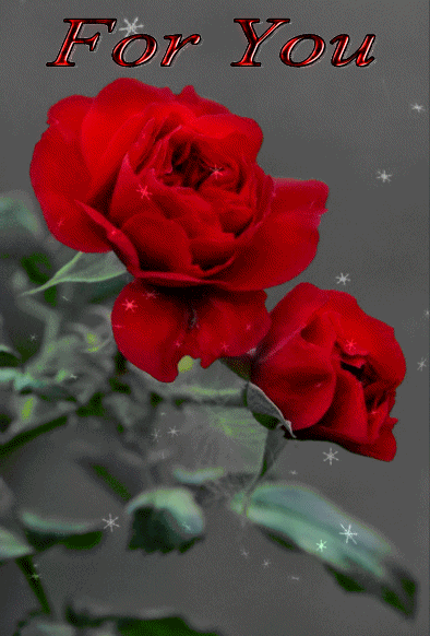 ezgif-2-32952fe995e5-I