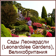 li_png_0013