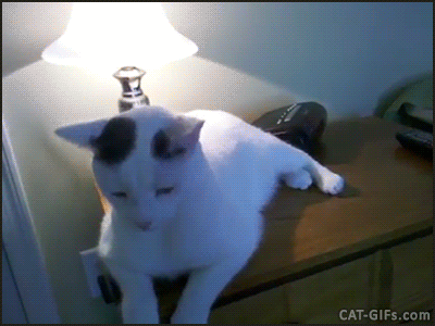 _s_lampoi_yapfiles.ru