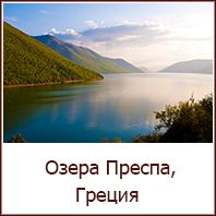 li_png_0015