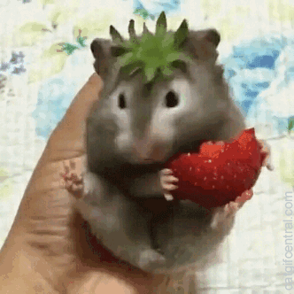 71357035423528_tumblr_pajughp33i1uuyy36o1_400