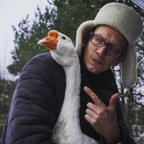 академик и гусь