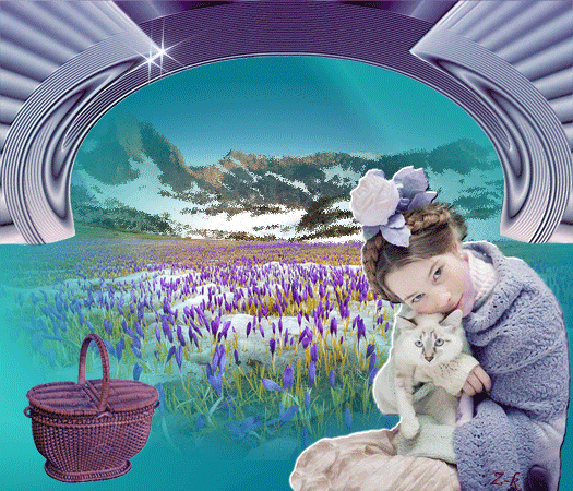 01-zk-bladoniebieski