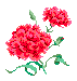 fon_3_8_arnusha