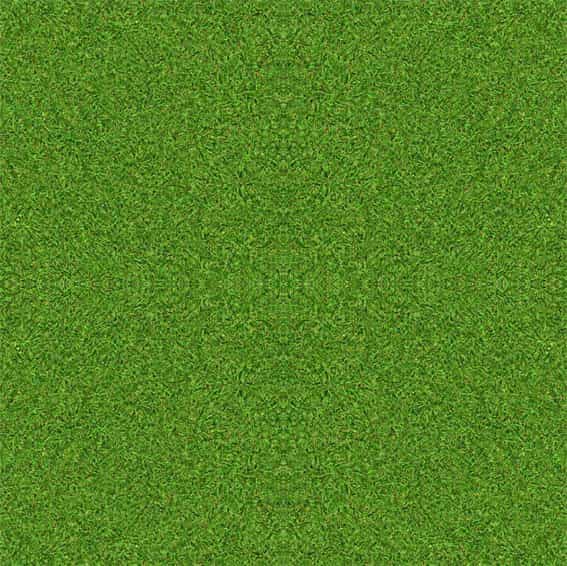 grass-min