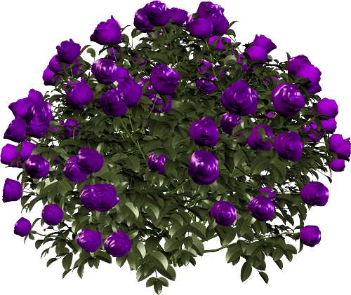 10059946_yapfiles.ru