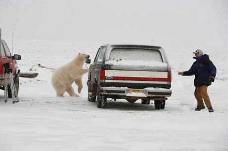 Мишка-и-фото1