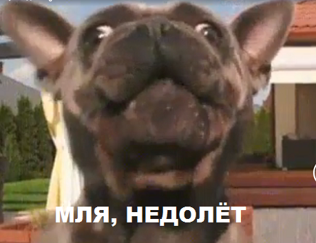 213123123у