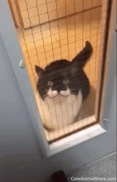 016553403d9b1d94685a6d2ff58df45e