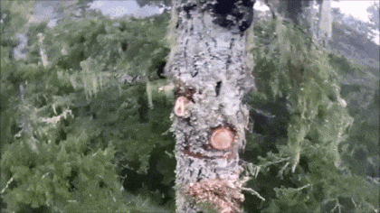 gifs_24