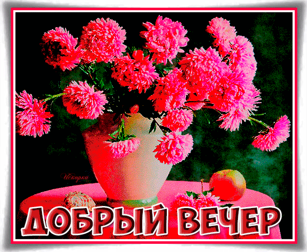 добрый-вечер