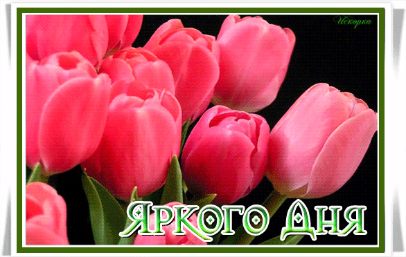 -дня яркого