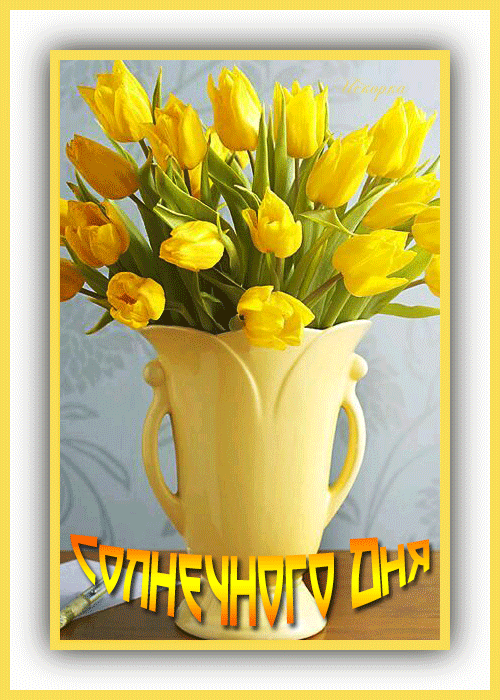 -дня солнечного