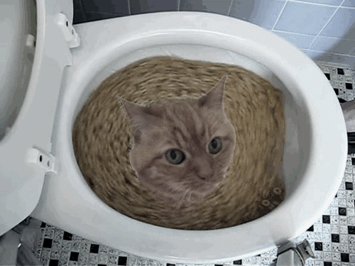 -мяу   сартир