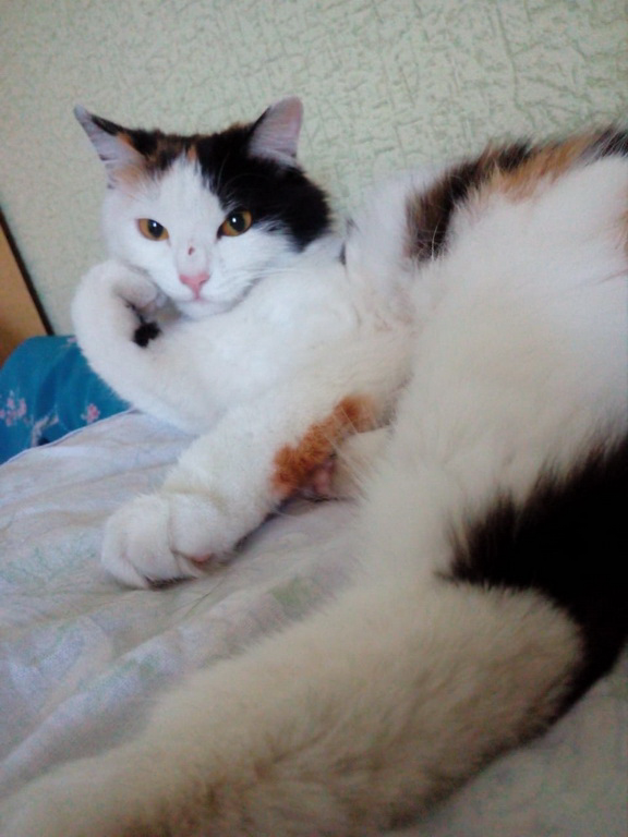 давай расскажи мне_новый размер