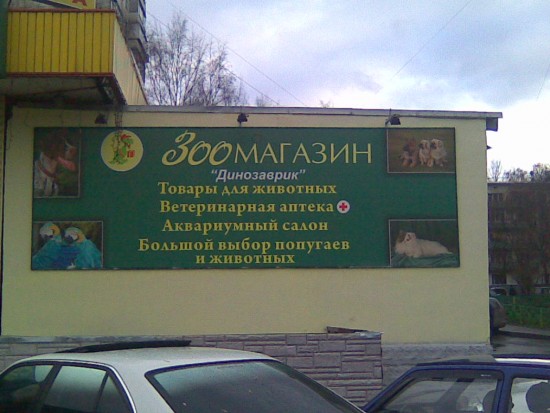 зоомагазин3