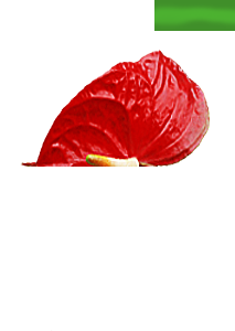 01windows-8-1-logo[1]