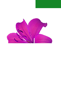 01windows-8-1-logo[1]