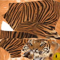 _tigra_na_koshku_yapfiles.ru