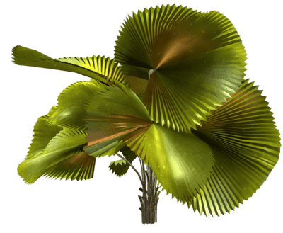 R11 - Palms - 2013 - 039-min