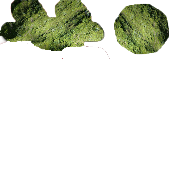 0a3889d3d269a148018e91b07fa65392[1]