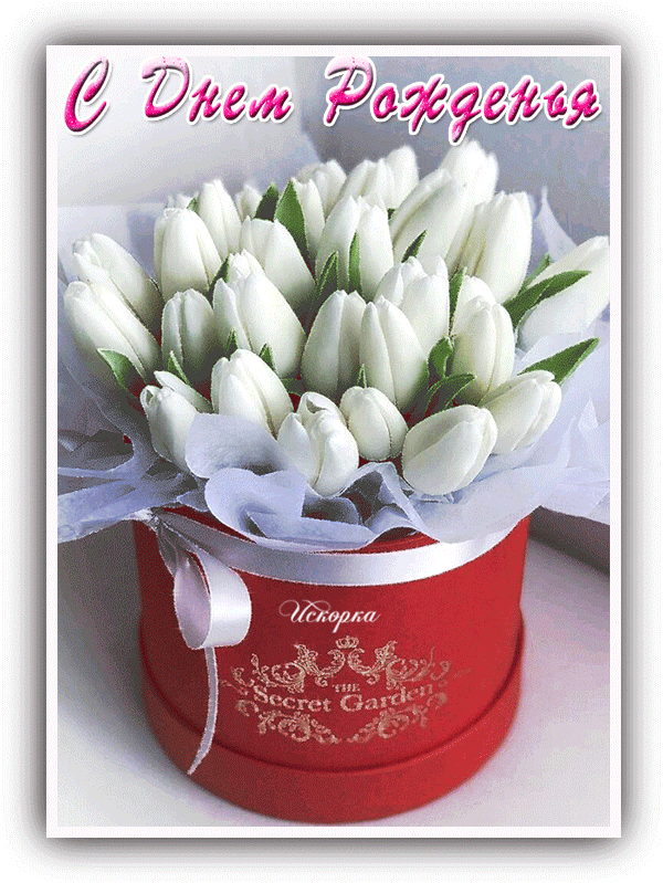 с -днем-рожденья