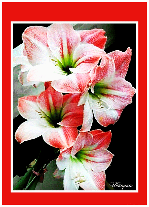 С-ПРАЗДНИКОМ