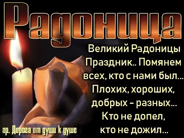 image (42)