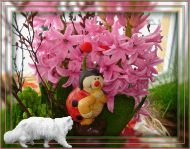 чпавіаопалькіьоапрв