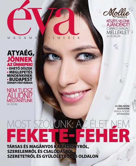 va-magazin-borító-2013.12