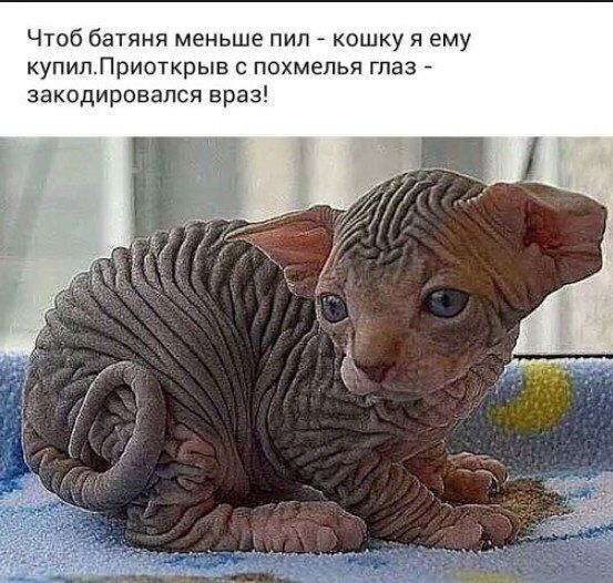 63b5a833fc467028e57b7f756eb1afec