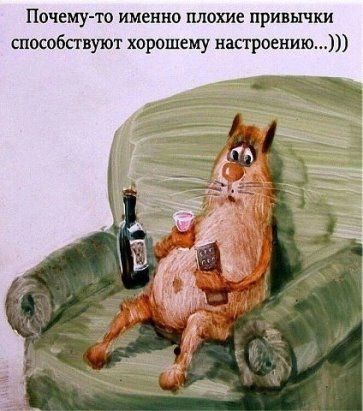 89800d4c7a521317f1cf4432034b46dd