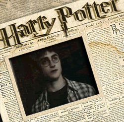 31069_harry_potter_pic