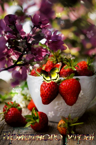 155913898258645537 (1)