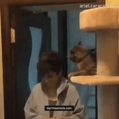 7c22ffa18d42bbe9448866c23818fc8d