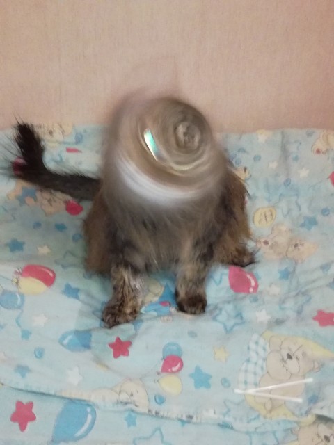 IMG_20190510_010635_1