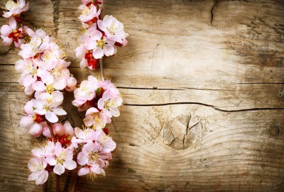 depositphotos_29985089-stock-photo-spring-blossom-over-wood-background